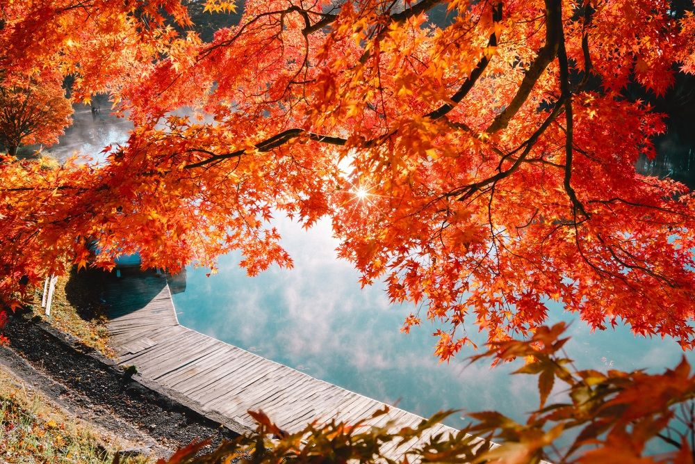 Фотография автора Luong Quyen