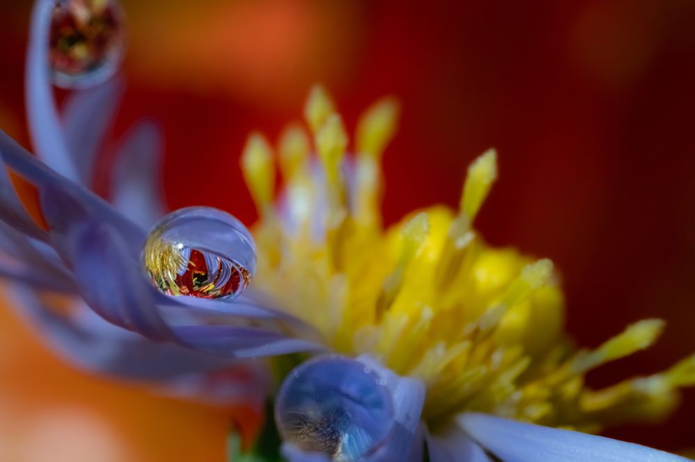 Photograph by Николай Фонарёв