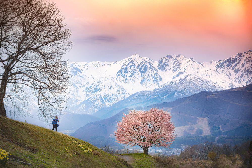 Photograph by Luong Quyen