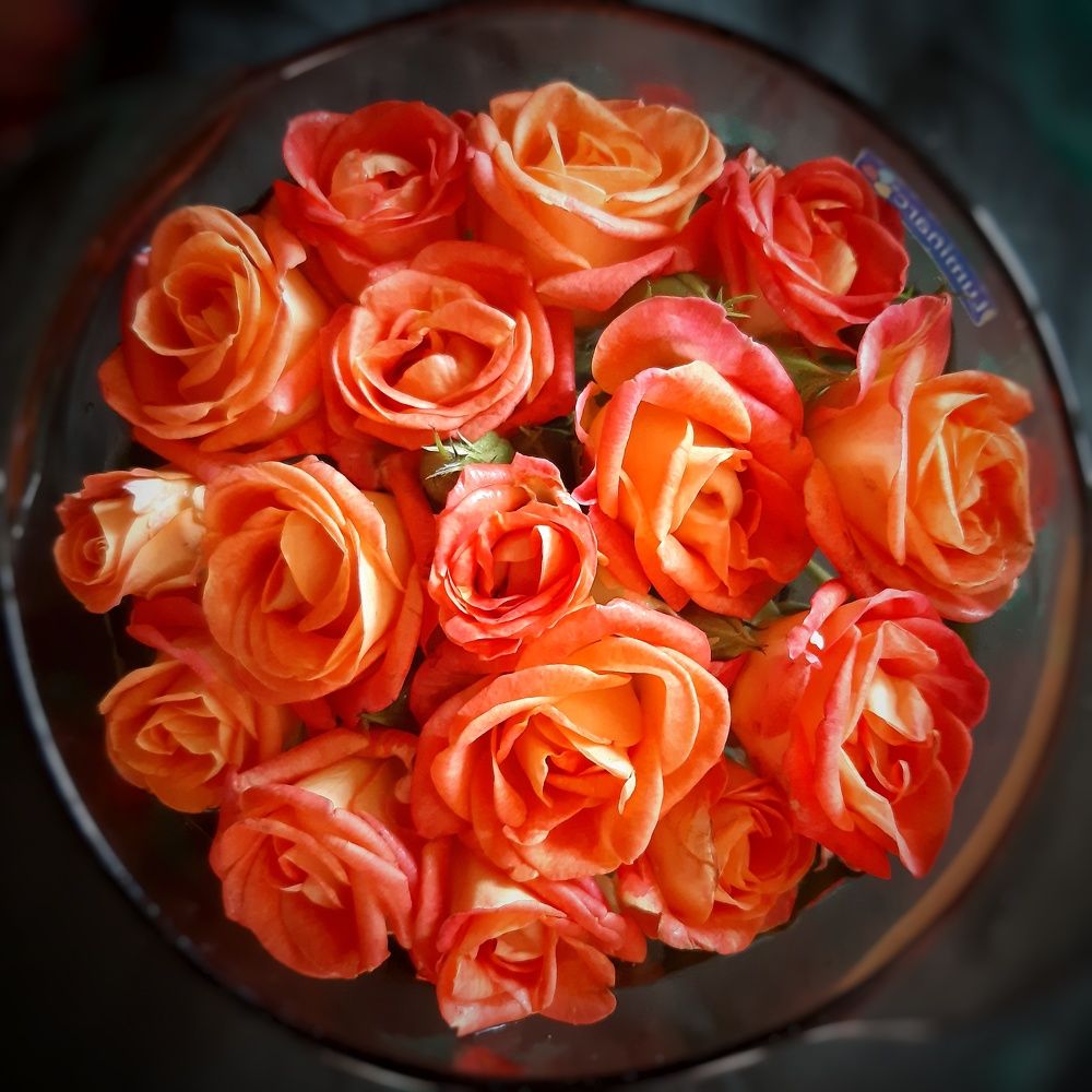 Розовый супчик