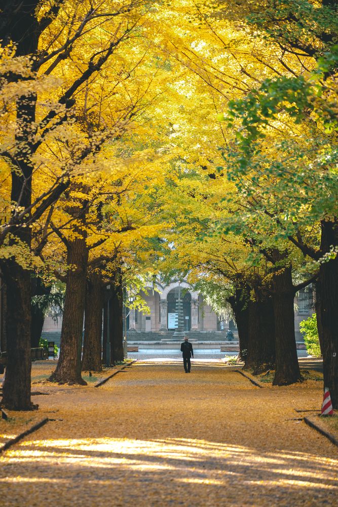 Фотография автора Luong Quyen