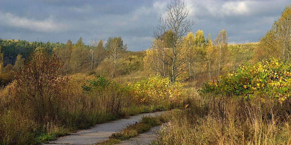 Photograph by Евгений Беленков