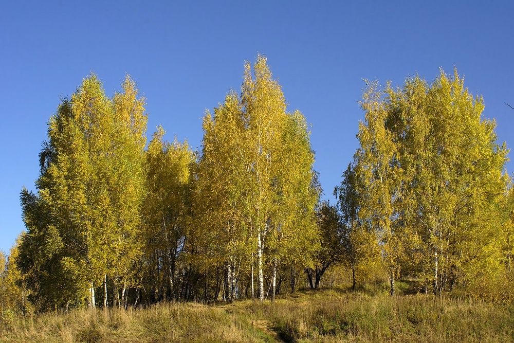 Photograph by Евгений Беленков