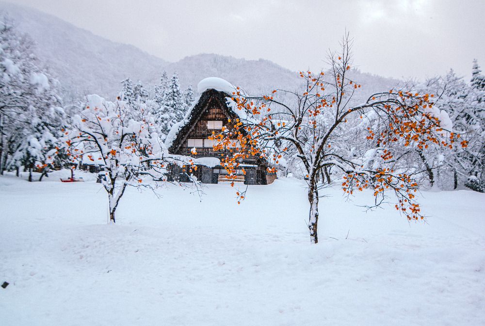 Фотография автора Luong Quyen