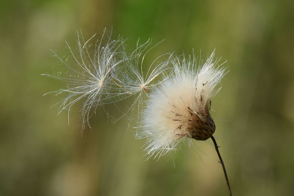 Photograph by Елена Морозова