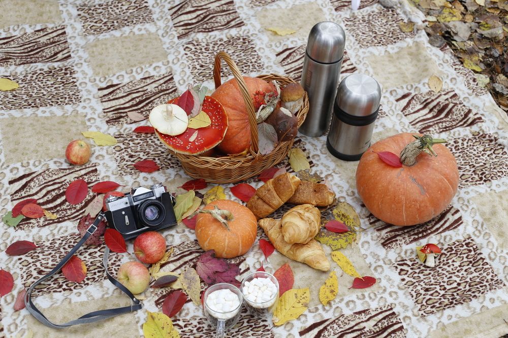 Photograph by Елена Буканина