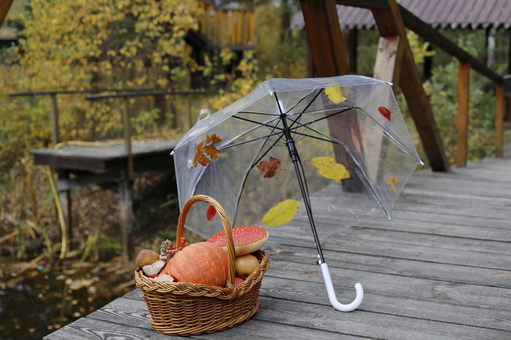 Photograph by Елена Буканина