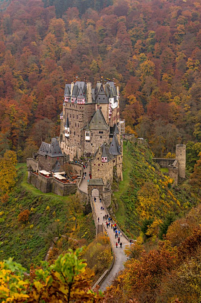 Photograph by Игорь Гомельский