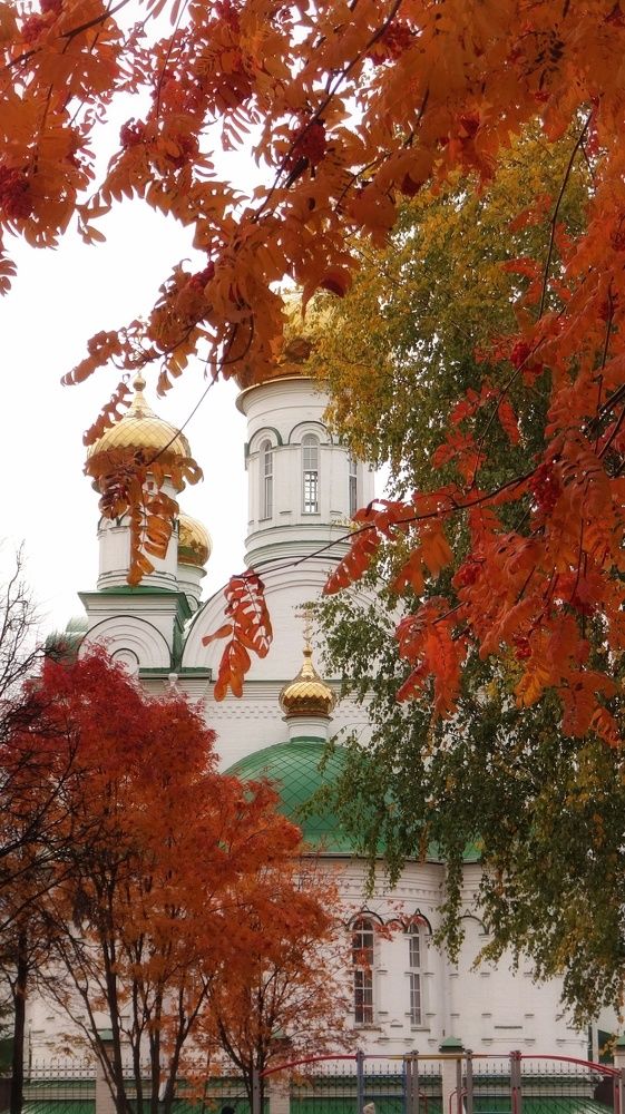 Photograph by Елена Силантьева