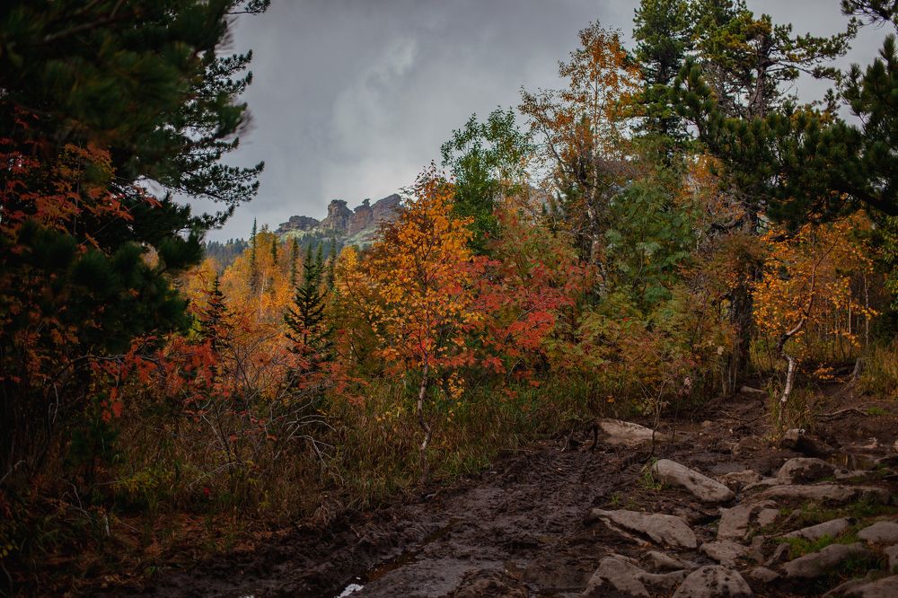 Photograph by Алина Перескокова