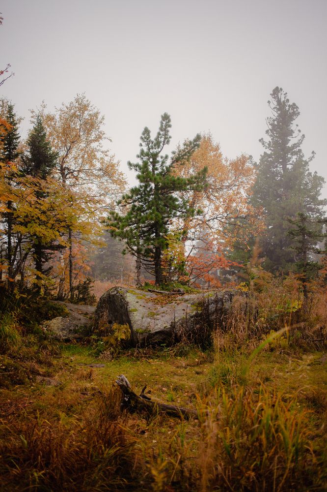 Photograph by Алина Перескокова