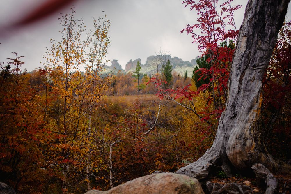 Photograph by Алина Перескокова