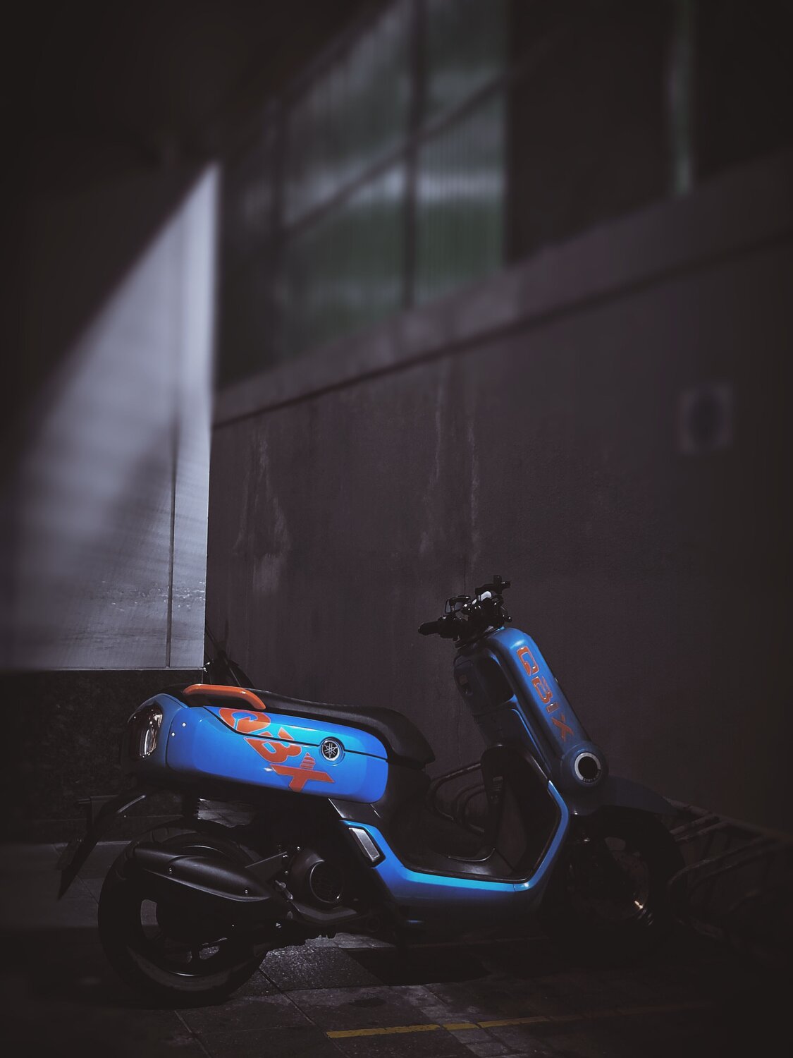 Photo #9562042