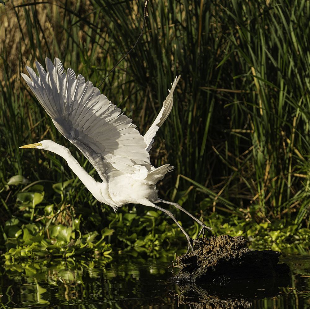 Photograph by Marcos