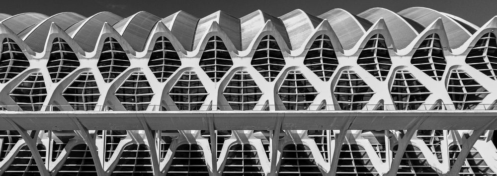 Photograph by Marcos