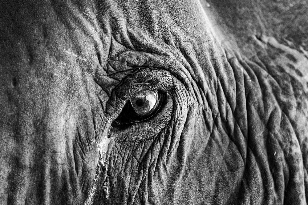 Photograph by Marcos