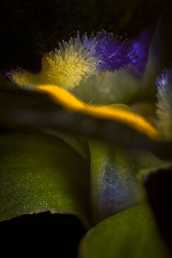 Photograph by 