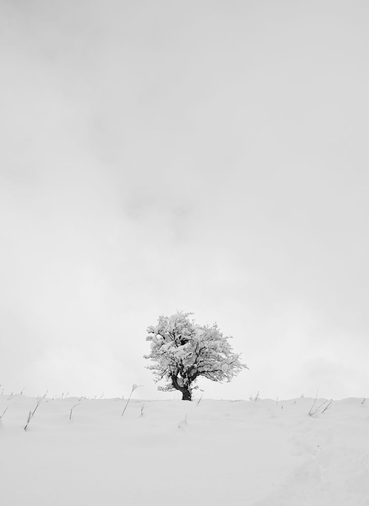 Photograph by Mahyar Kantoori