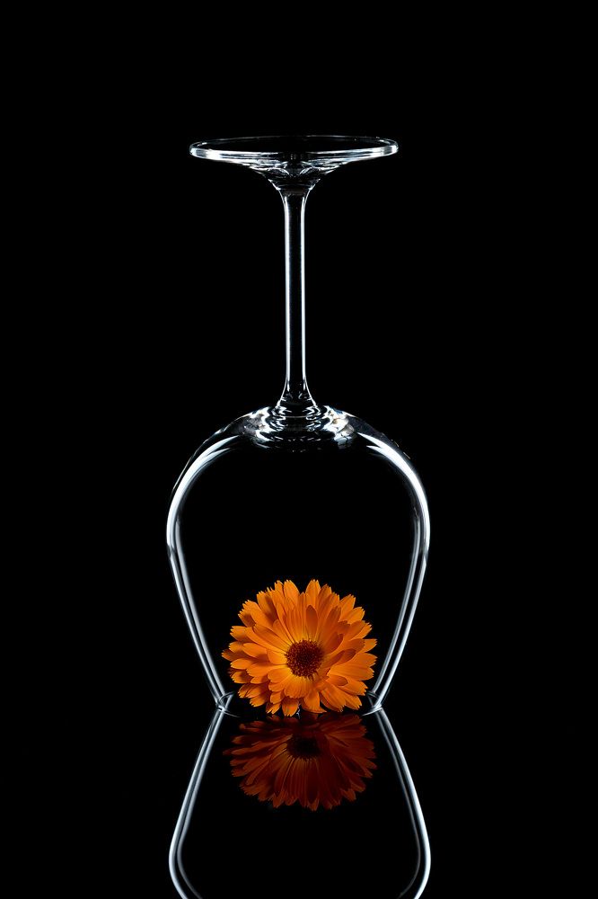 Photograph by Елена Овчинникова