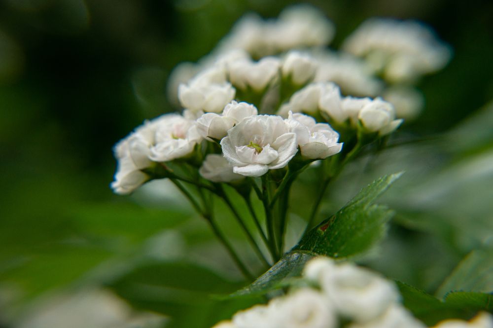 Photograph by Елизавета Корнилова