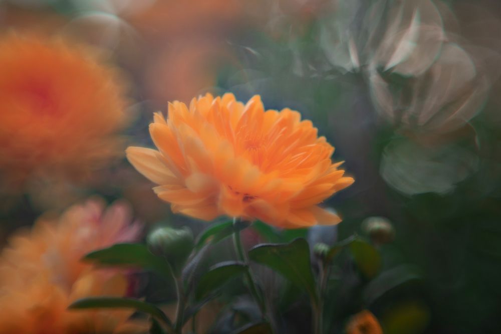 Photograph by Виктория Сид