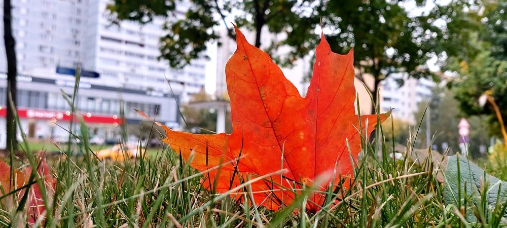 Фотография автора Сергей Можаев