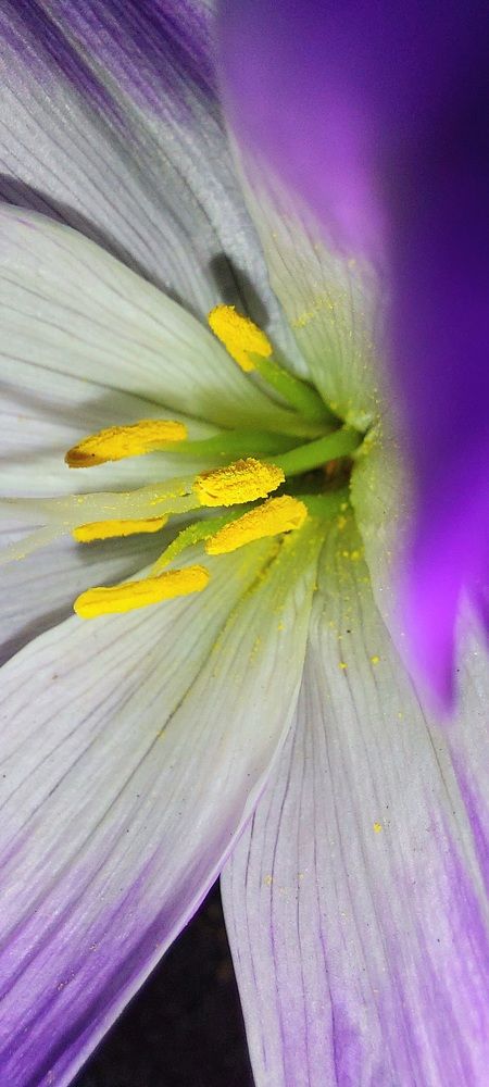 Фотография автора Сергей Можаев
