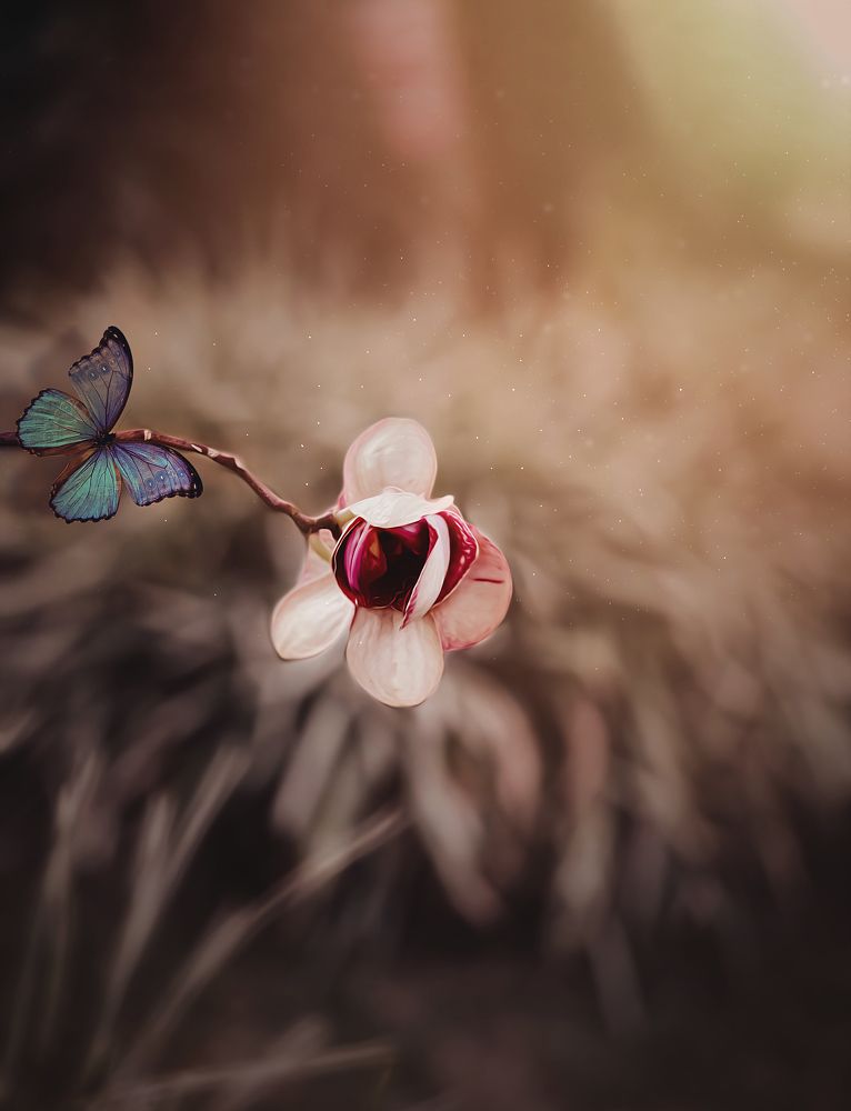 Photograph by Karen DLucca