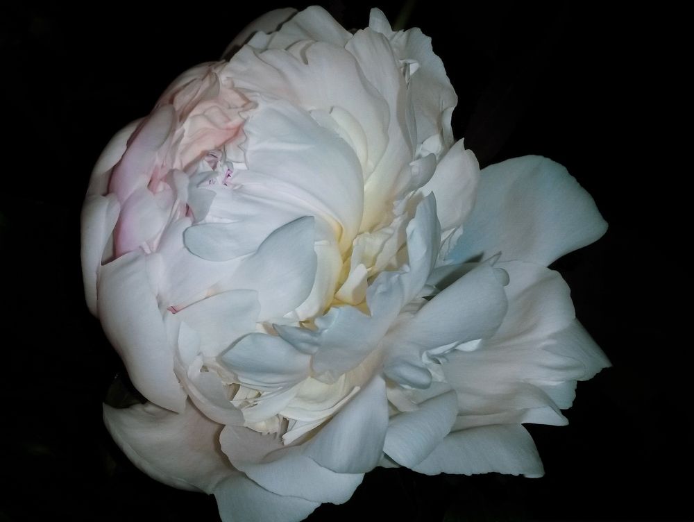 Photograph by Анна Савина