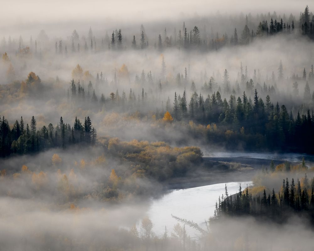 Photograph by Tatiana Meshcheryakova