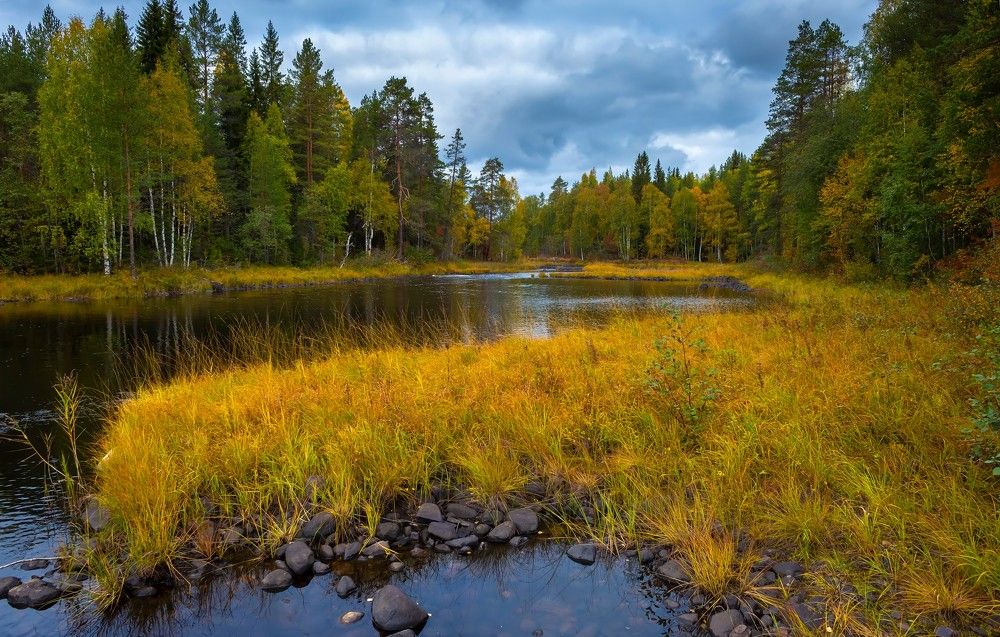 Photograph by Александр Чибиркин