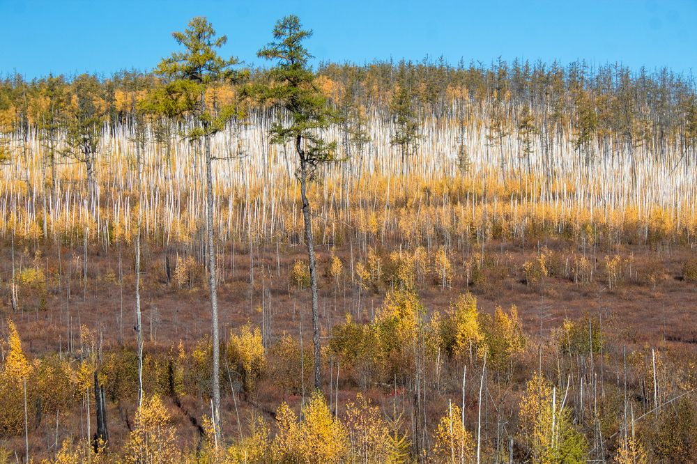 Photograph by Михаил Мархинин