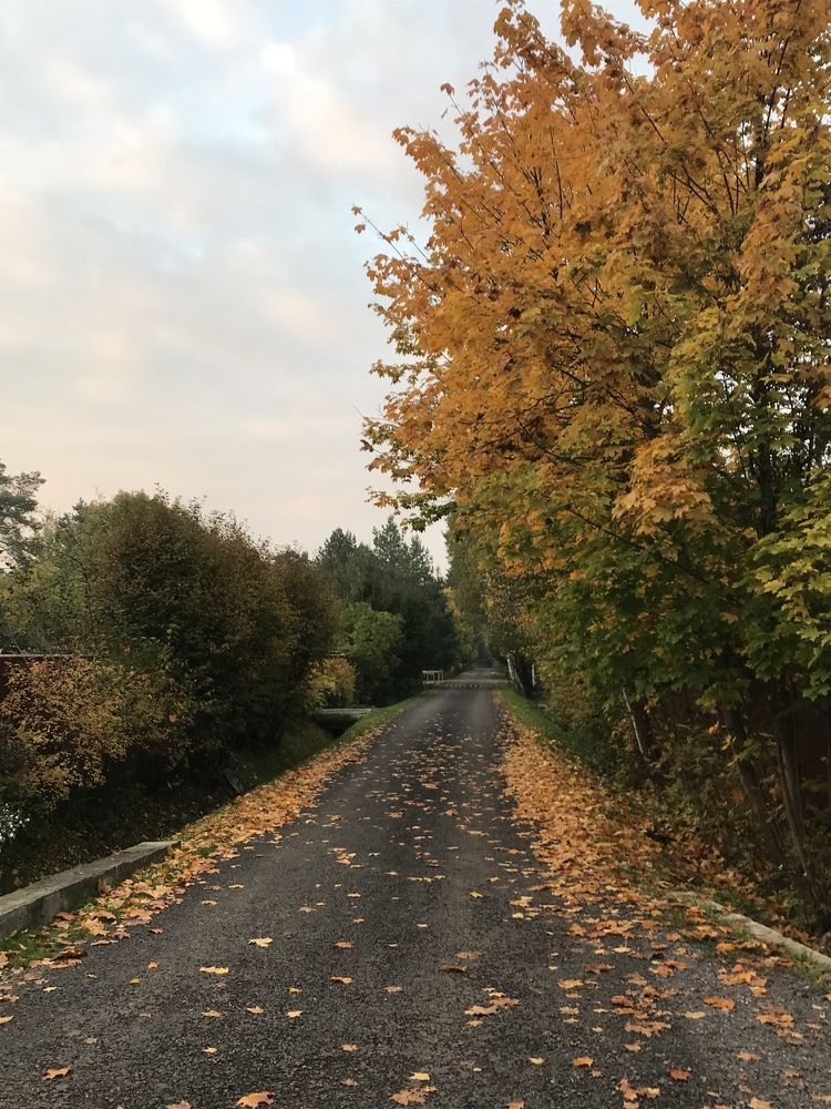 Photograph by Надежда