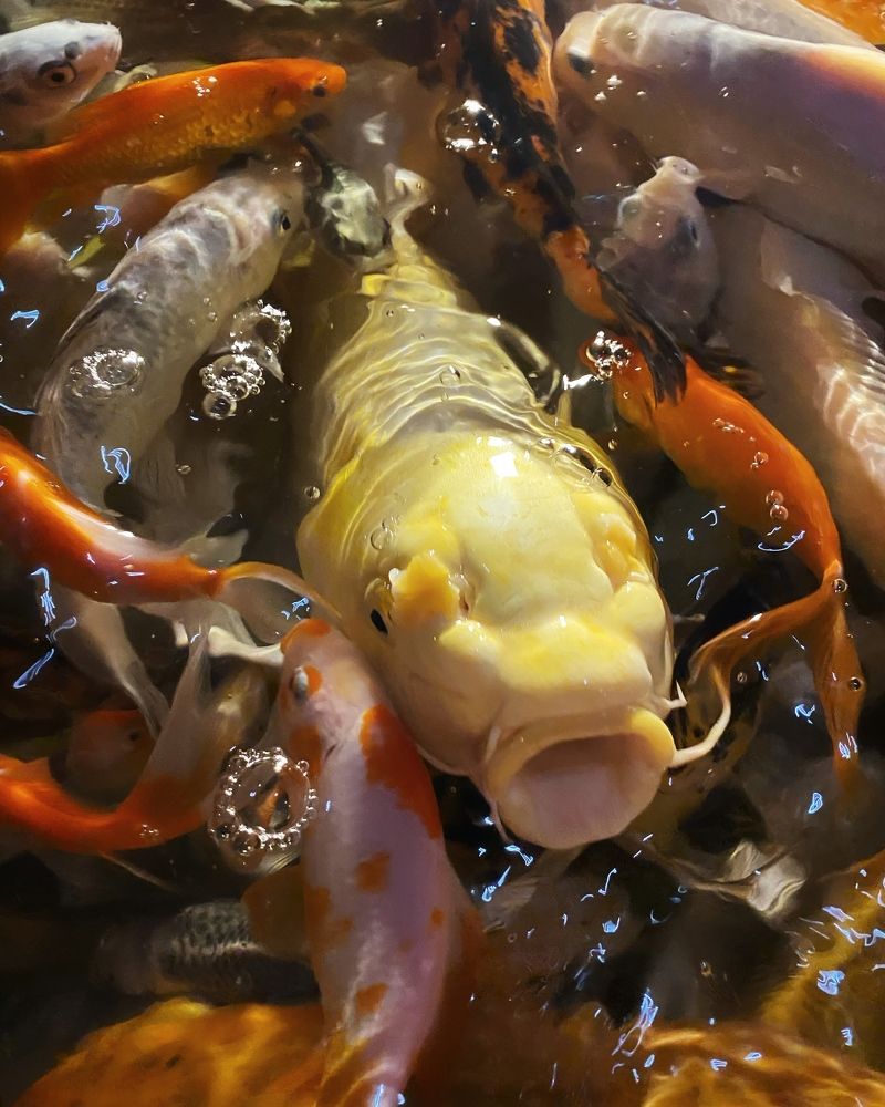 Фотография автора Мария