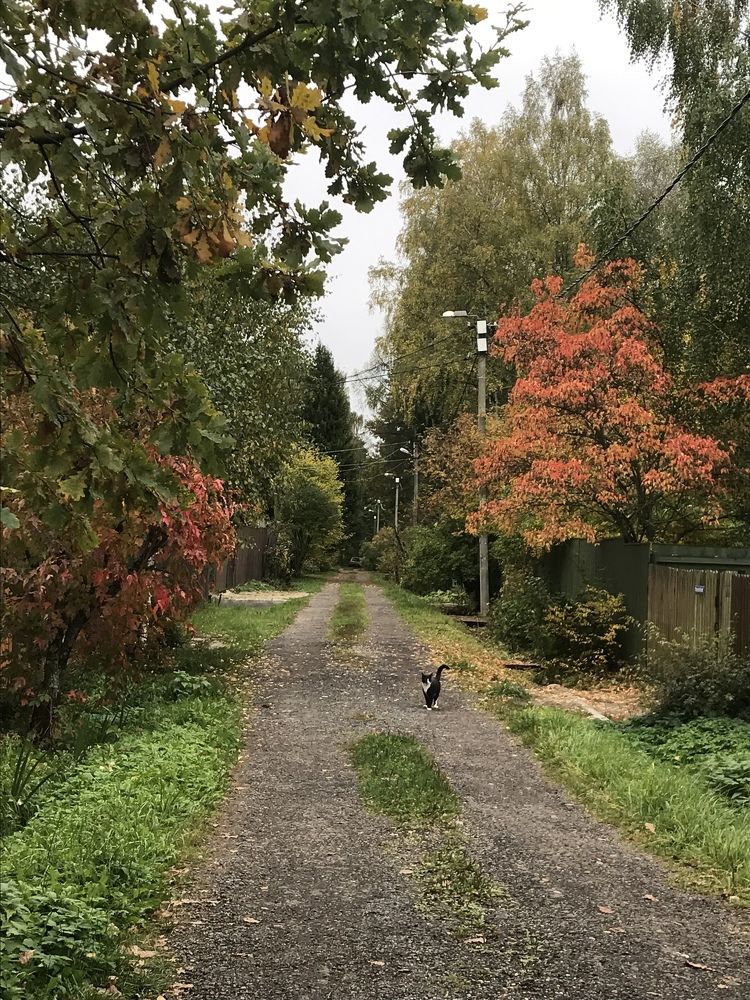 Photograph by Надежда