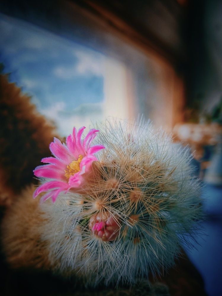 Photograph by Konstantin Martynov