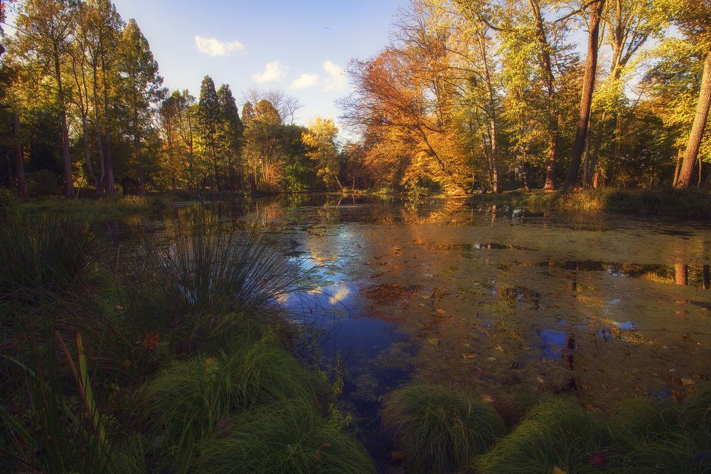 Фотография автора Александр