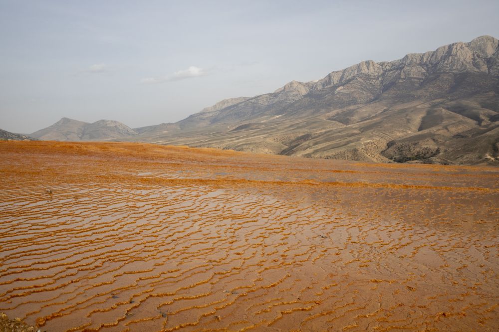 Photograph by Иван Соловьёв