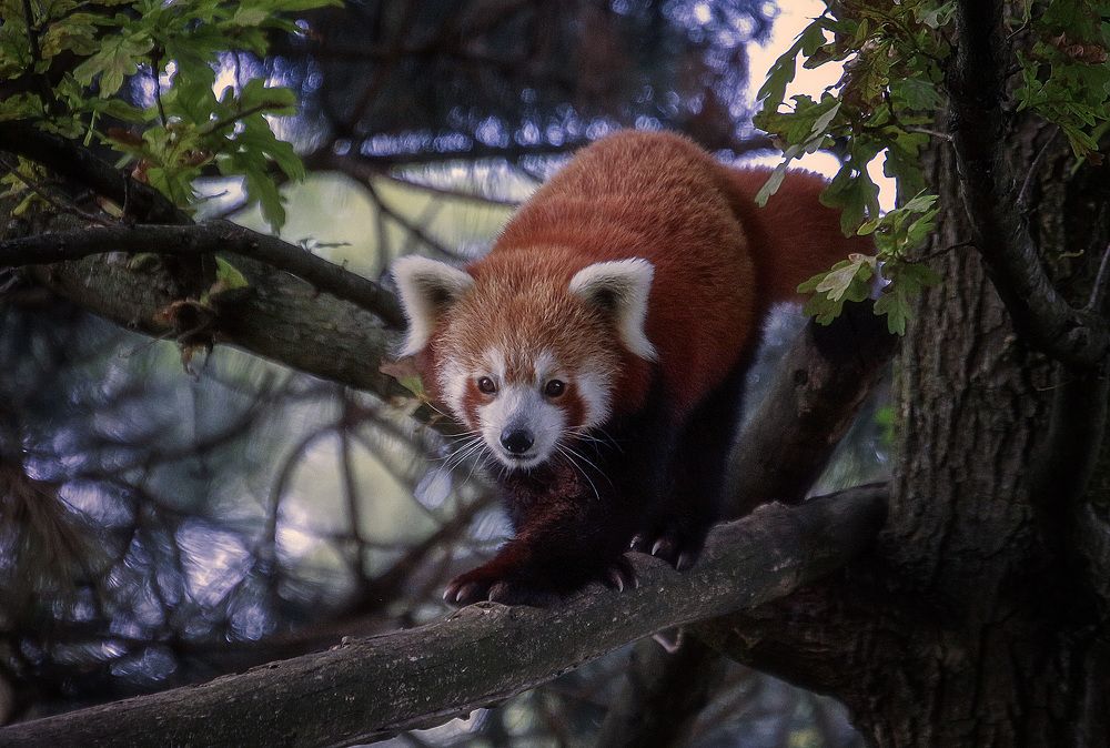 Фотография автора Александр
