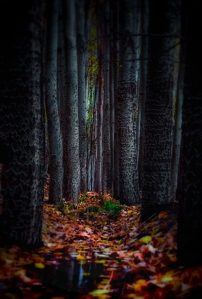 Photograph by ali asghar ahngari