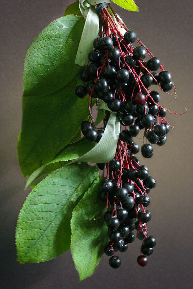 Photograph by Татьяна Долженкова