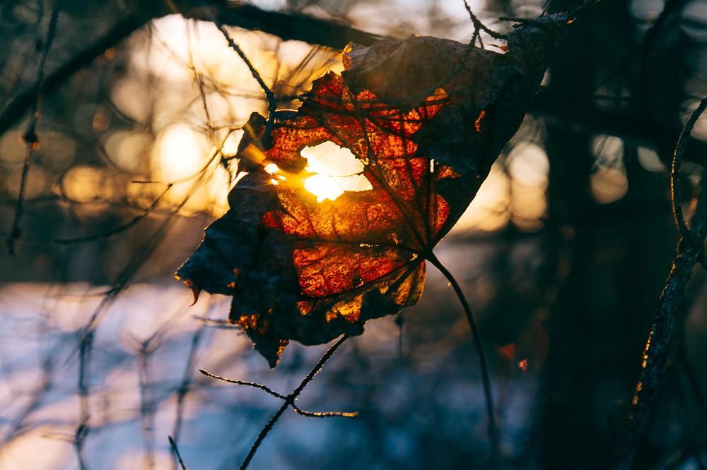 Photograph by Татьяна Зубанова