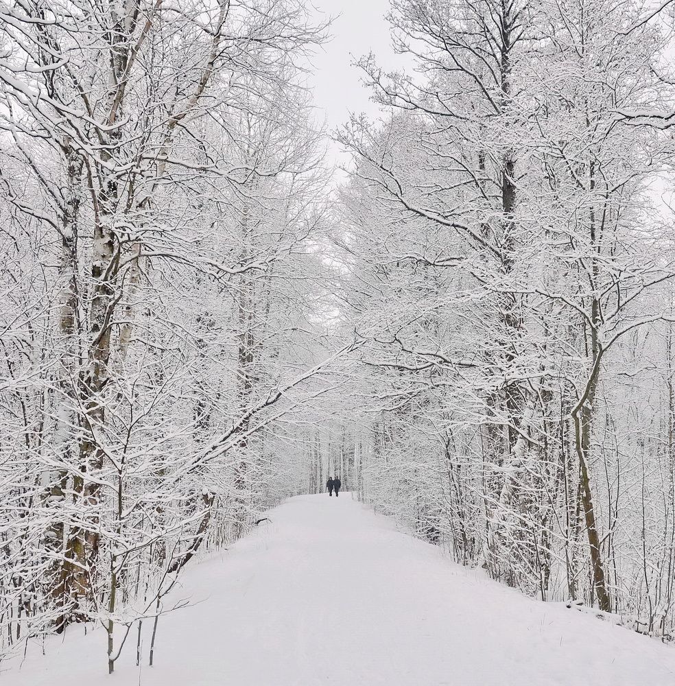 Photograph by Лидия Ушакова