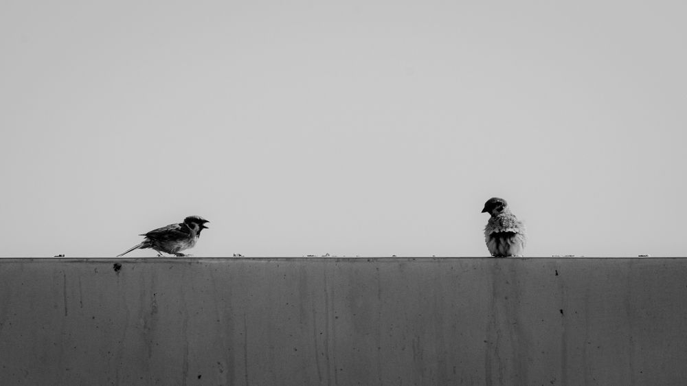 Talking about.