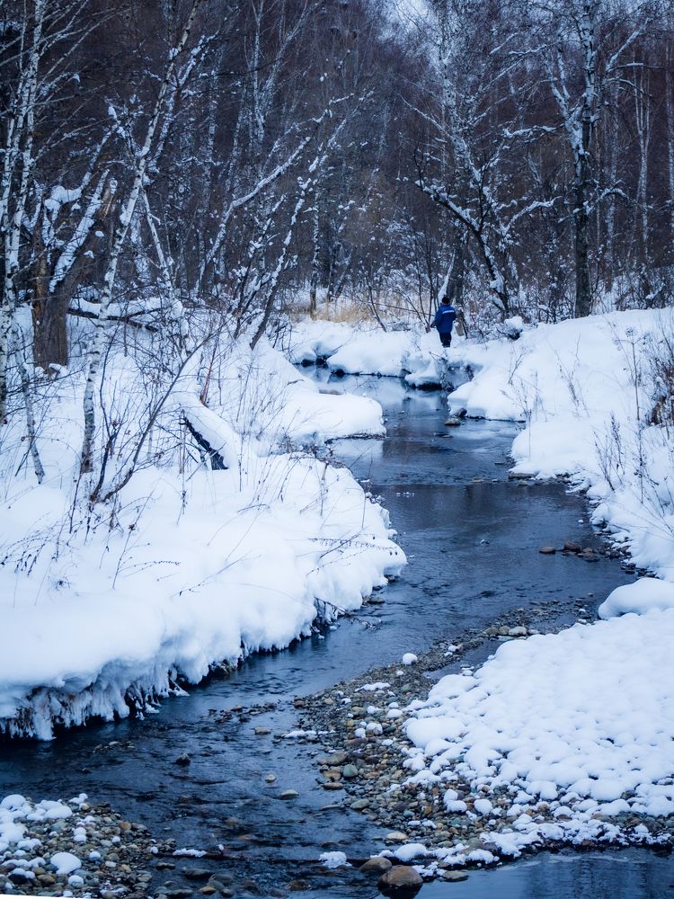 Фотография автора Виталий Гавронский
