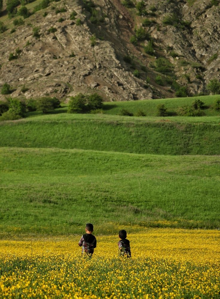 Photograph by Masoumeh Rahimi