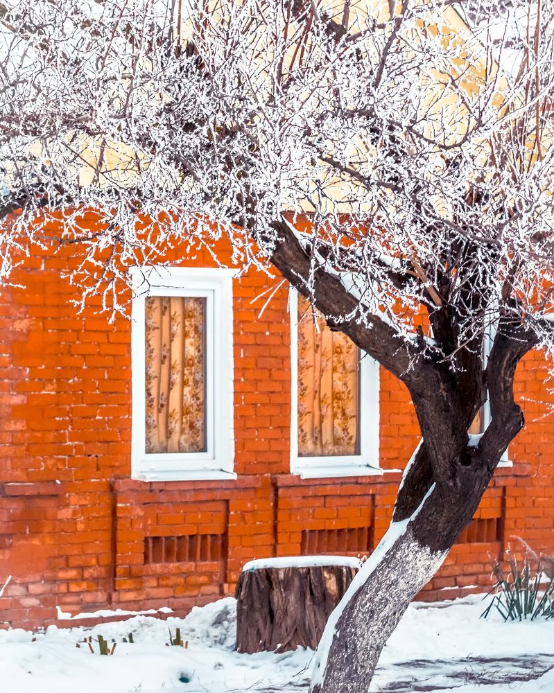 Photograph by Наталья Шелест