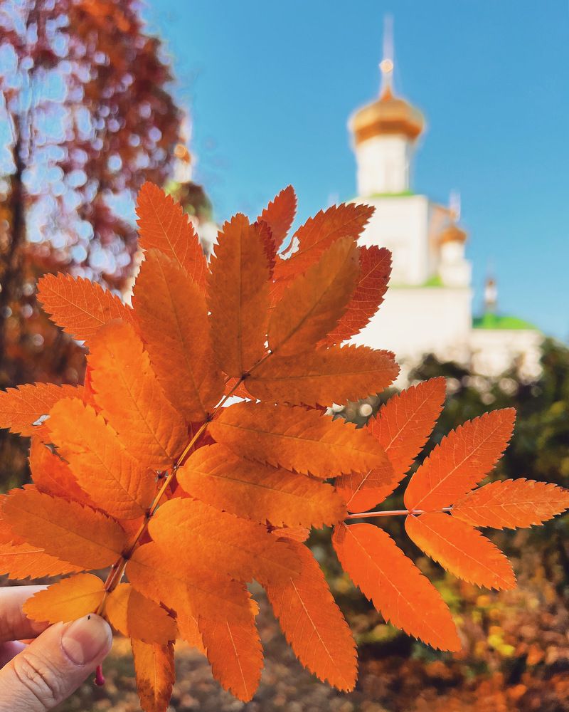 Photograph by Татьяна Волохова