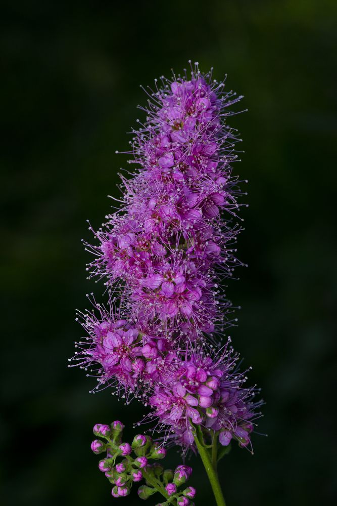 Photograph by Сергей Белов