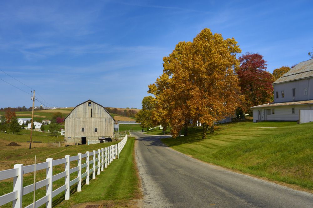 Photograph by Nicolas Bernal
